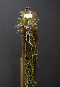 PRESIDENT CHOICE SEPTEMBER 2025