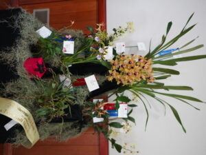 Best Small Display Spring 2025