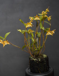 PRESIDENT CHOICE NOVEMBER 2025