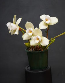 INTERMEDIATE NOVEMBER 2025