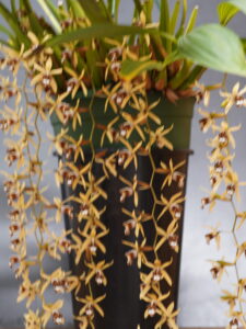 PRESIDENT CHOICE MARCH 2026